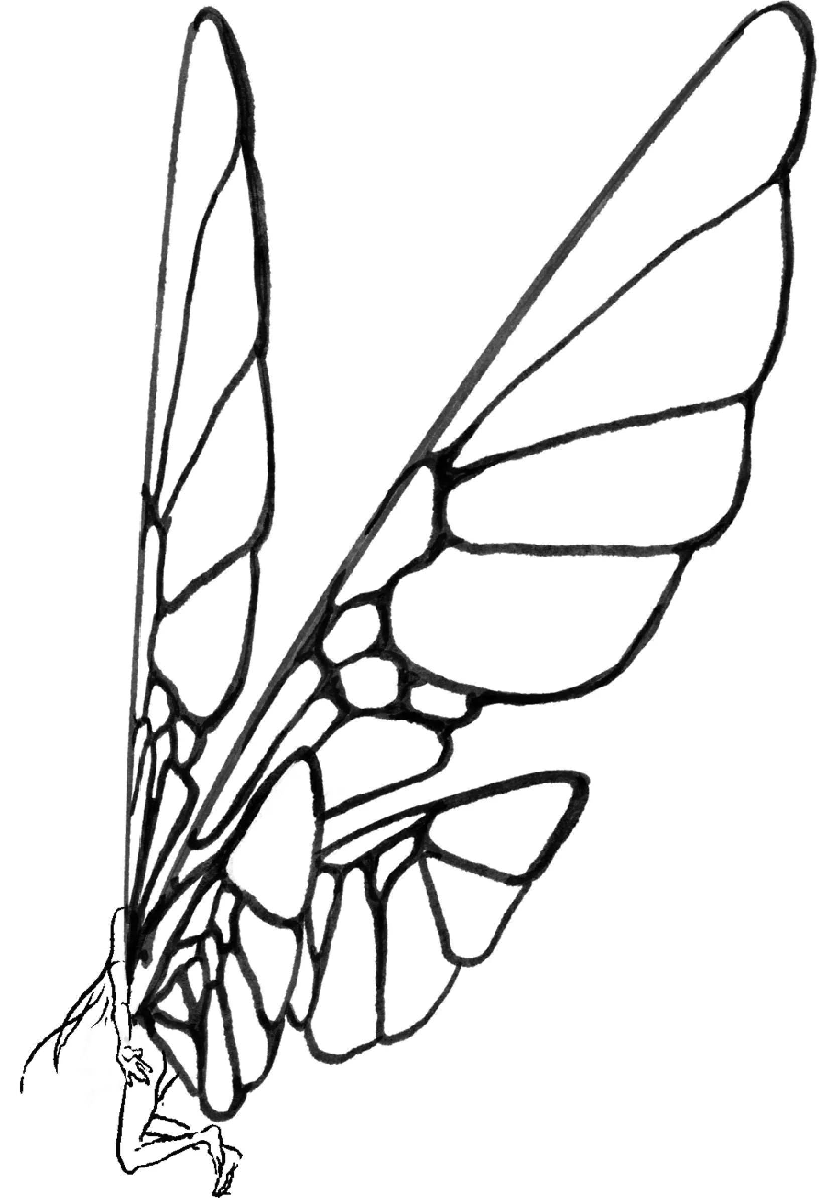 Fairy1