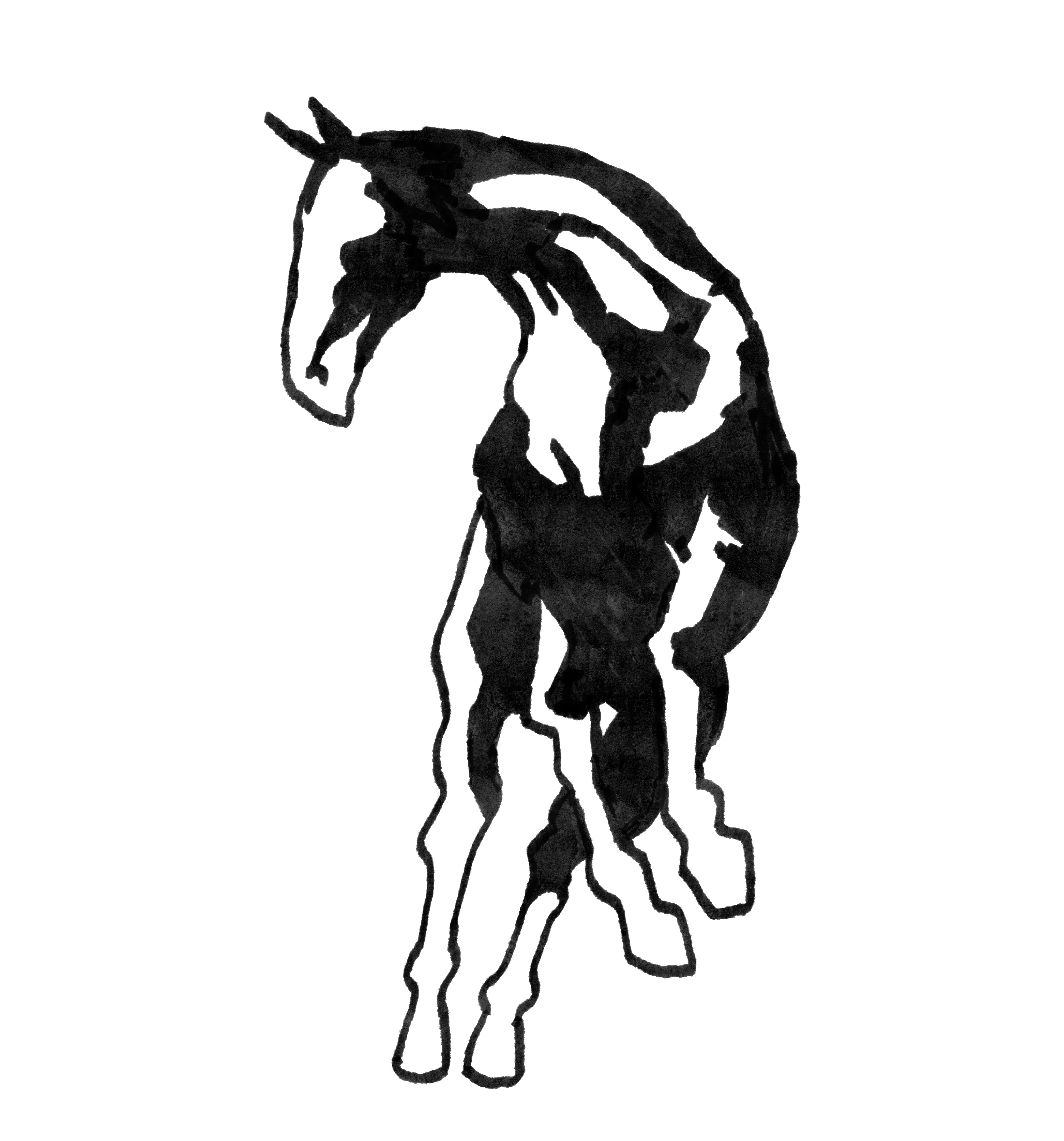 Horse 